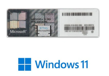 Windows 11 Professional Etiket Lisans FQC-10528